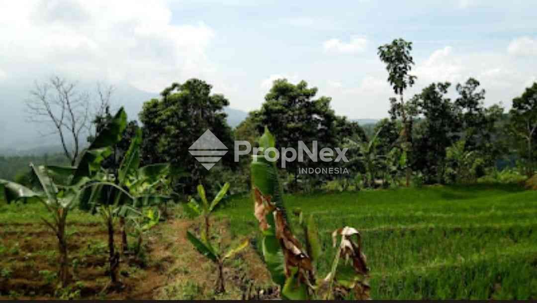 Tanah Komersial Desa Cembor - Pacet Mojokerto — foto 6
